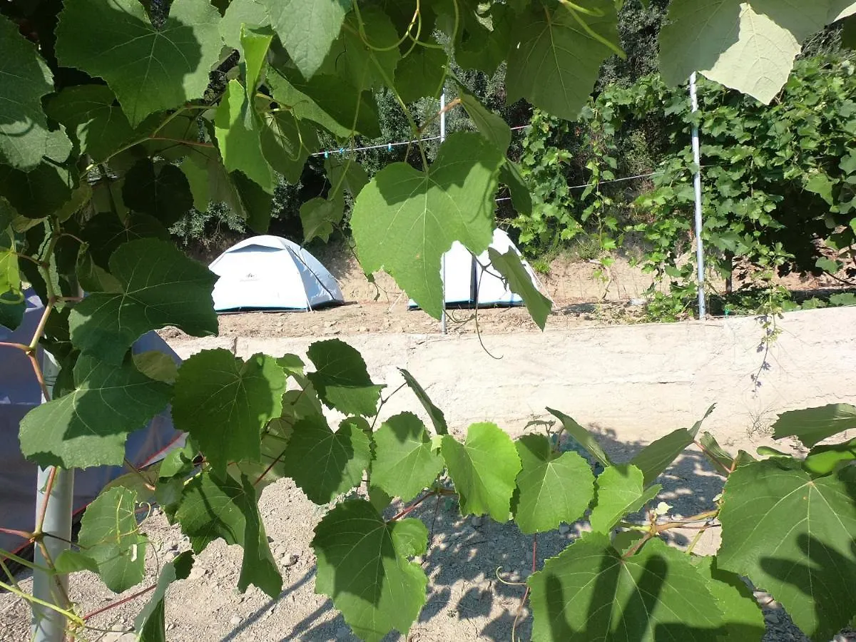 Camping Jungle In Borsh Luksusowy namiot