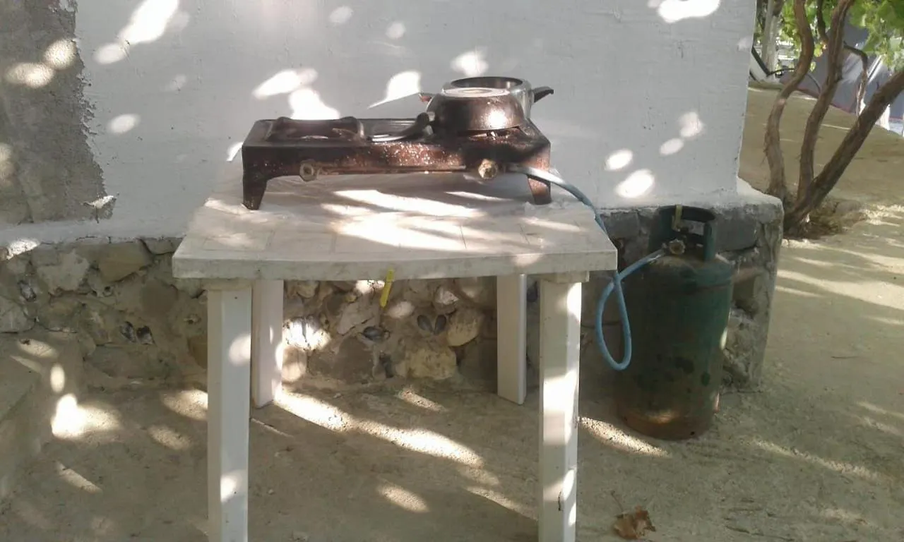Camping Jungle In Borsh