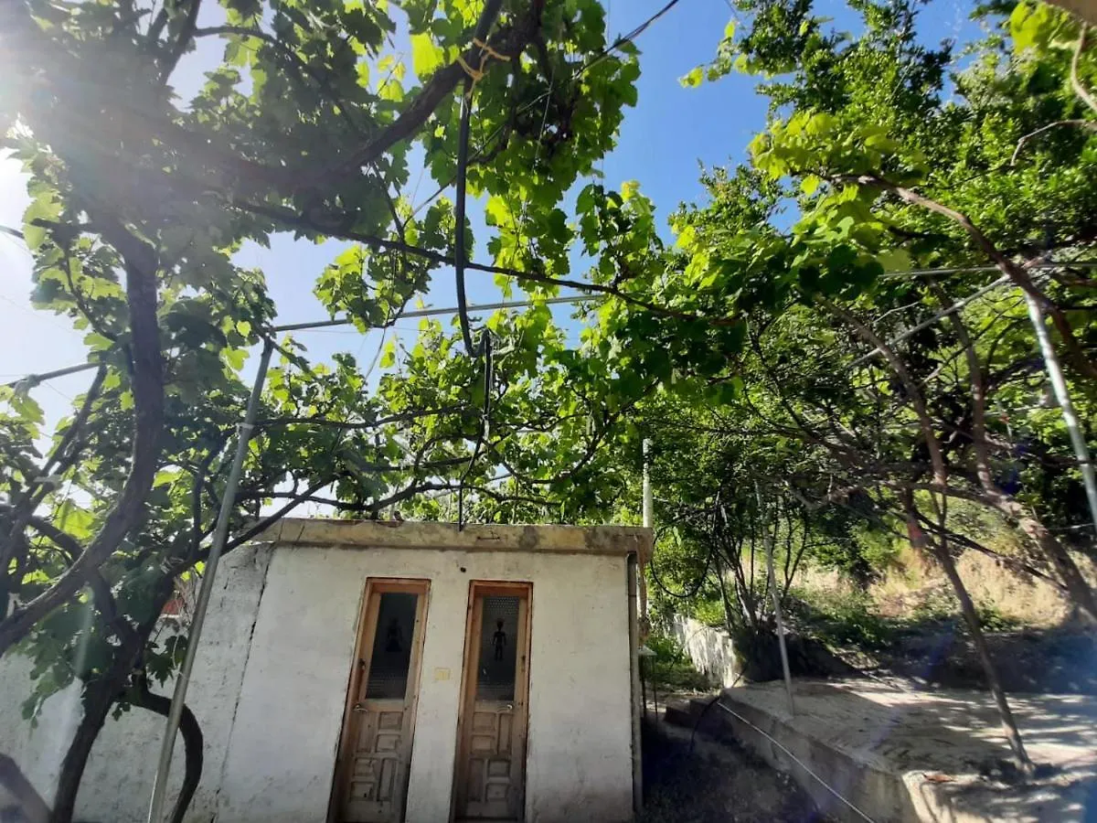 Camping Jungle In Borsh Luksusowy namiot