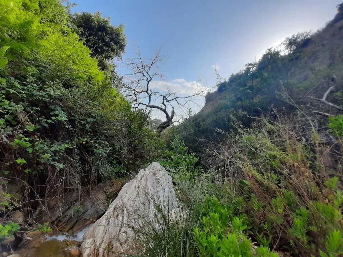 Camping Jungle In Borsh Albania