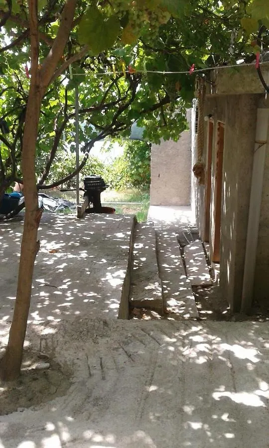 Camping Jungle In Borsh Luksusowy namiot