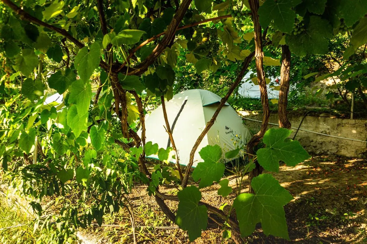 Luksusowy namiot Camping Jungle In Borsh Albania