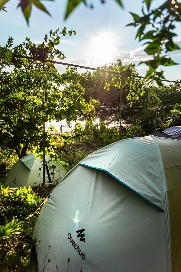 Camping Jungle In Borsh 0*,